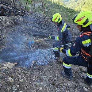 WaldbrandRein (22)